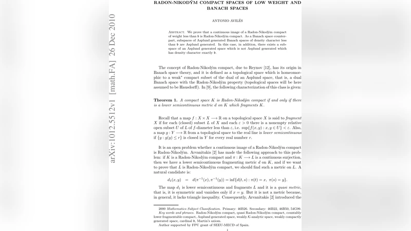 저중량 라돈니코디므 콤팩트 공간과 바나흐 공간