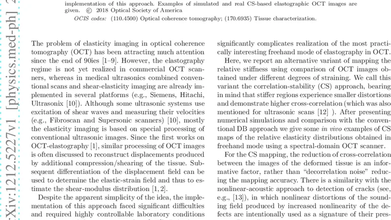 압축 OCT 탄성 매핑을 위한 상관 안정성 접근법