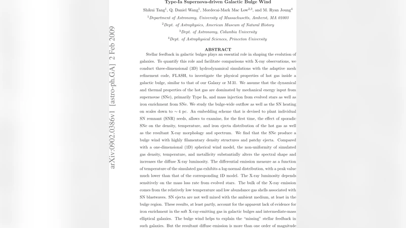 Ia형 초신성 구동 은하핵 풍: 3차원 시뮬레이션이 밝힌 비균일 가스와 철분 분포
