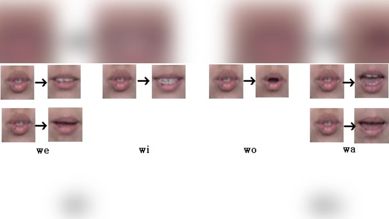 한국어 입술읽기 시각 음소 정의와 특징 벡터 추출 방법