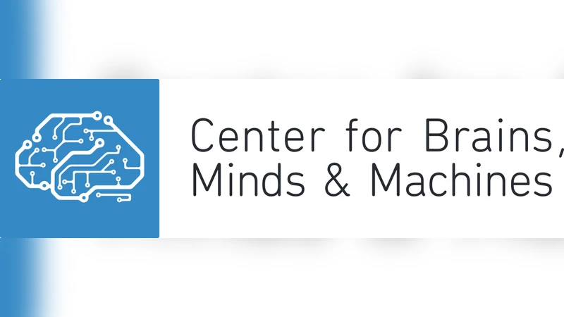 PSR B0656+14의 강렬 펄스 특성 분석