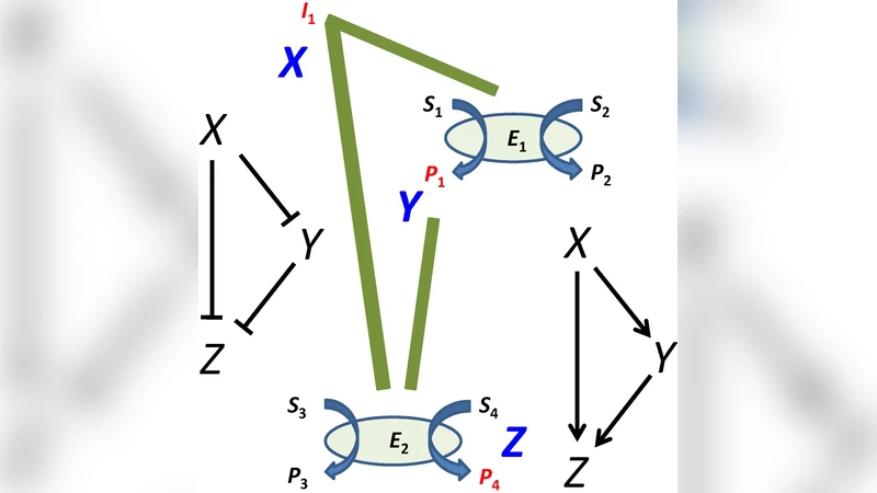 생체 영감 정보 처리의 합성 효소 회로 설계와 구현
