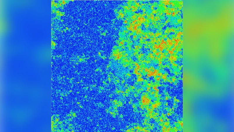 두 단계 용융: 2차원 경질 디스크에서 첫 번째 차례는 액체‑헥사틱 전이의 일차적 성격