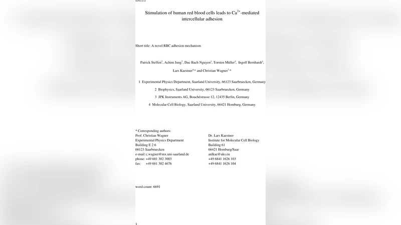 적혈구의 칼슘 매개형 상호접착 메커니즘