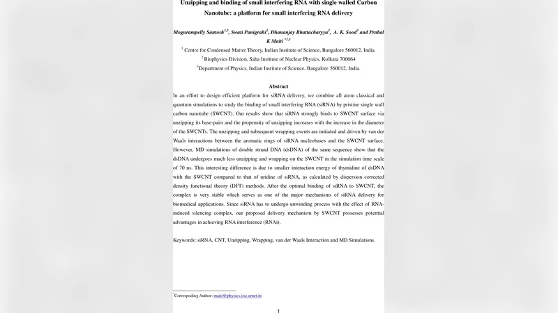 nano튜브를 활용한 siRNA 전달 플랫폼의 효율성 분석