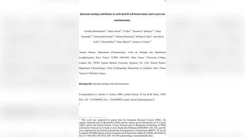 B세포 퀘럼센싱으로 IgM 균형 유지와 자가면역 방지