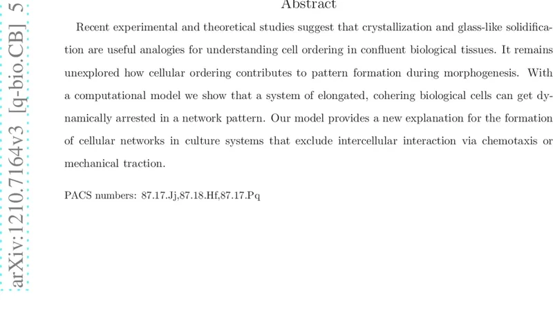 동형세포의 결정성 정렬이 멈춘 혈관망 형성 메커니즘