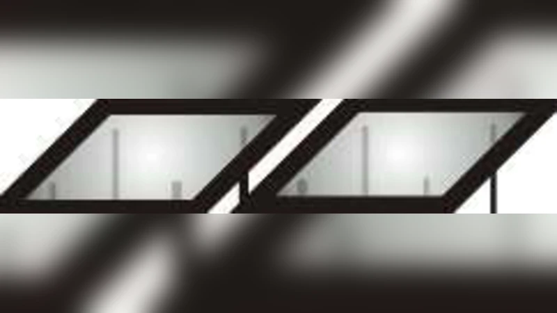 범주적 텐서 네트워크 상태와 문자열 다이어그램