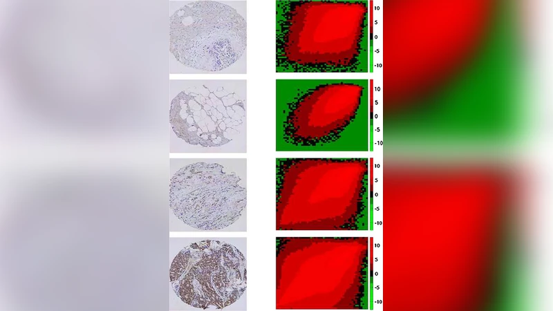 조직 배열 이미지 통계 분석: 알고리즘 점수 매기기와 공동 학습