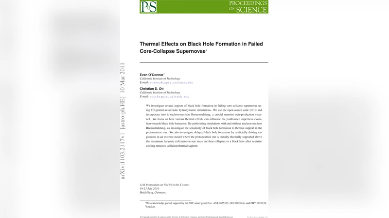 실패한 핵붕괴 초신성에서 열효과가 블랙홀 형성에 미치는 영향