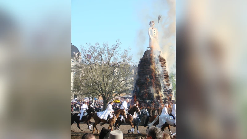 보그 폭발 시간과 지구 기후 변화의 놀라운 연관성
