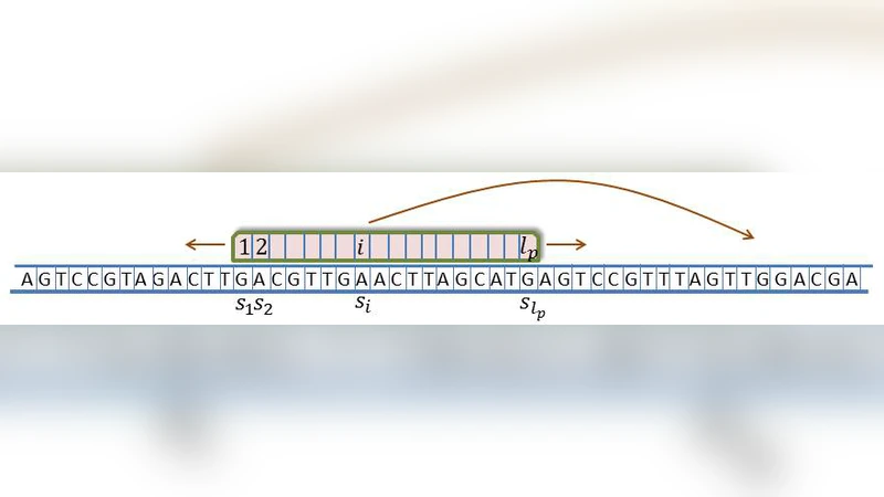 DNA 상 단백질의 빠르고 특이적인 탐색 메커니즘 분류