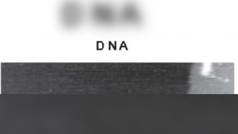 기하학적 타일로 구현하는 초저온 자가조립 혁신