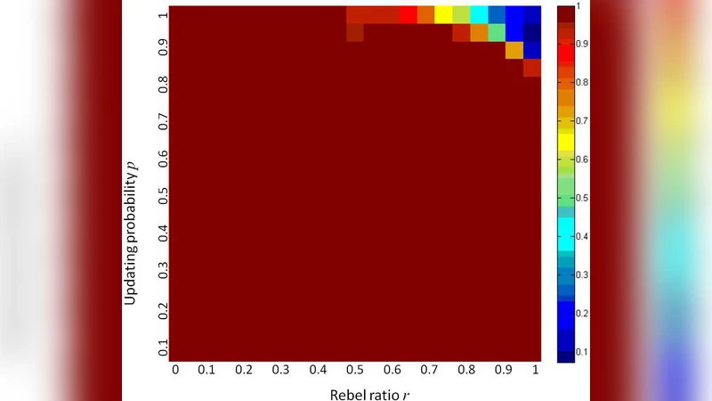 패션·협력·사회적 상호작용