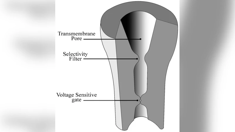 방사능 측정 통계 교육 도구