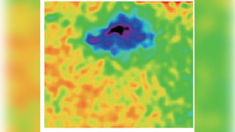 라디오 아크 남단 인접 구역의 수즈쿠 X선 탐사와 새로운 클럼프 발견