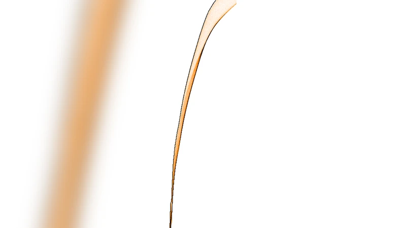 젊은 별들의 나이가 생각보다 오래됐을까