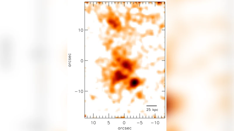 다양한 필드 분광을 위한 새로운 전략 — ELT 시대의 셀레스티얼 셀렉터