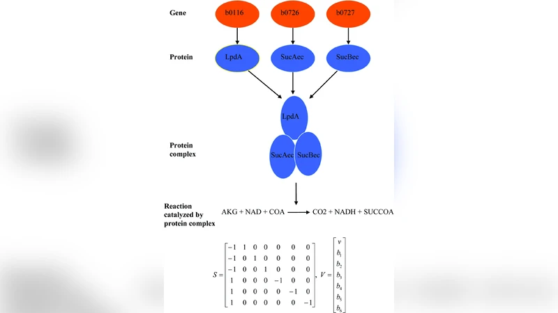 대사망 적응형 표현형 접근성에 대한 환경 품질의 영향