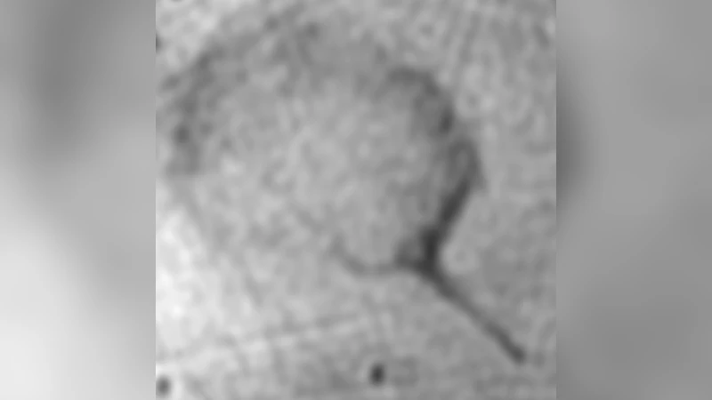 젊은 펄서와 긴 라디오 꼬리, SNR G315.9 0.0에서 발견