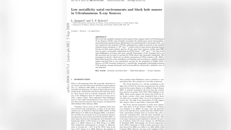 저금속성 출생 환경과 초광속 X 선원 블랙홀 질량