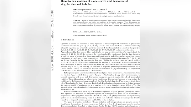 평면 곡선의 해밀토니안 변형과 특이점 및 기포 형성