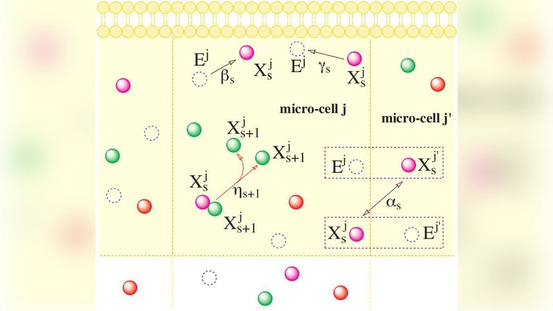 원시 세포를 모사한 자가촉매 반응의 공간 모델