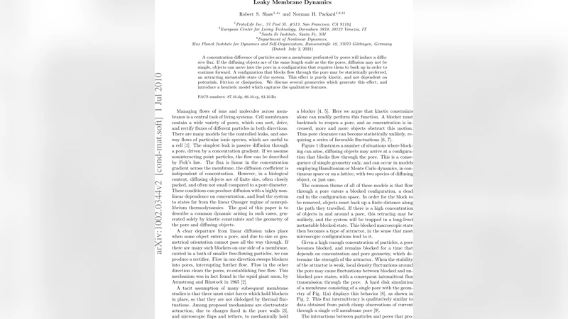 새는 막을 통한 비정상 확산