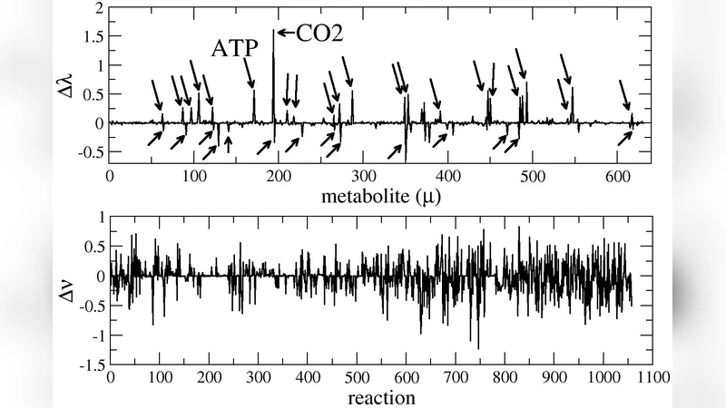 대사망 네트워크의 생산 가능성, 견고성 및 변동성 탐구