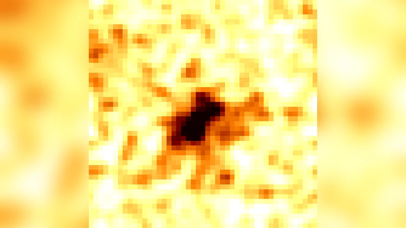 XMM 뉴턴이 포착한 T Pyxidis의 확장 X선 방출