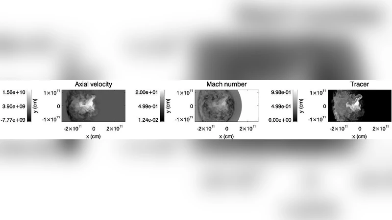 거대 X 선 이중성에서 풍 제트 상호작용 3차원 시뮬레이션
