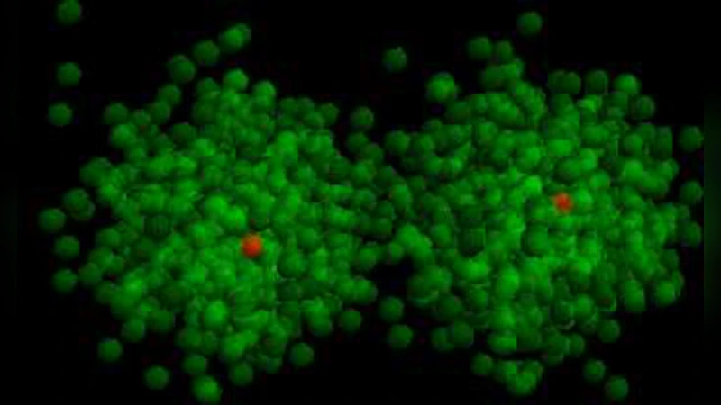 소수 분자 복제를 통한 원시세포 재생산