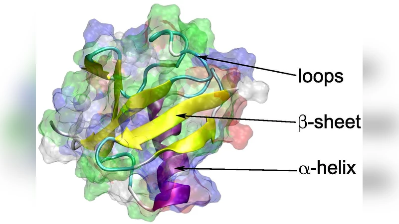 이온 빔 방사선 손상의 다중 스케일 접근 복합 DNA 손상과 열 스파이크 효과