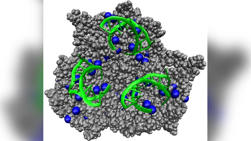 폴리머가 이끄는 icosahedral 바이러스 캡시드 자가조립 메커니즘