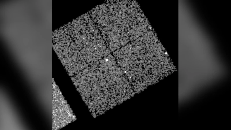 중력으로 구분할 수 없는 두 종류의 뉴트리노