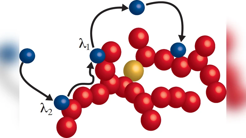 크로마틴 위 단백질의 촉진 확산