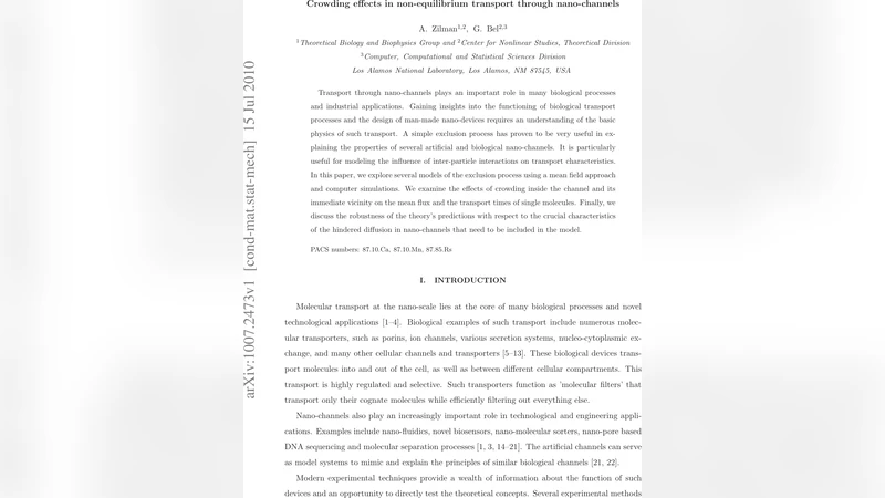 나노채널 비평형 수송에서의 군집 효과