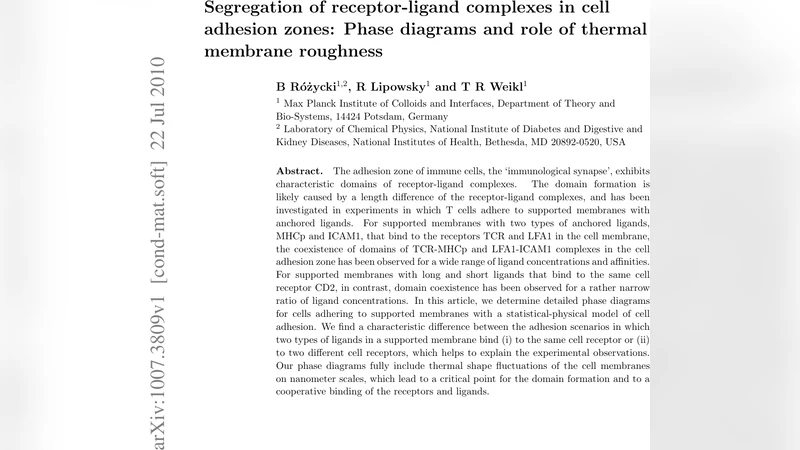 수용체‑리간드 복합체의 분리와 열적 막 거칠기의 역할