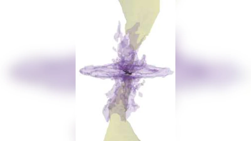 자기장 얽힌 코어에서의 원시 원반 격류 및 피드백 메커니즘