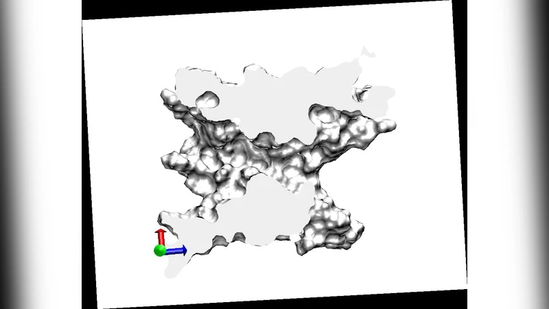 이온 운송의 첫 통과 시간 분석: OmpF 포린 원자 수준 시뮬레이션