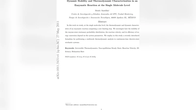 단일분자 효소 반응의 동적 안정성과 열역학 특성