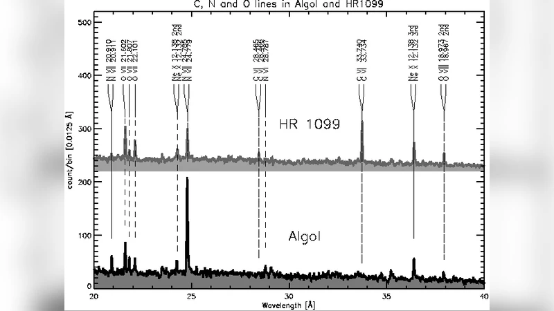 별의 X선 플라즈마 원소 풍부도 연구