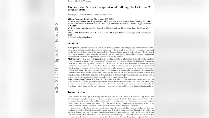 색칠된 모티프가 밝힌 C. elegans 뇌의 계산적 빌딩 블록