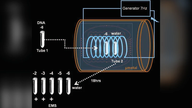 DNA 파동과 물: 저주파 전자기 현상의 새로운 해석