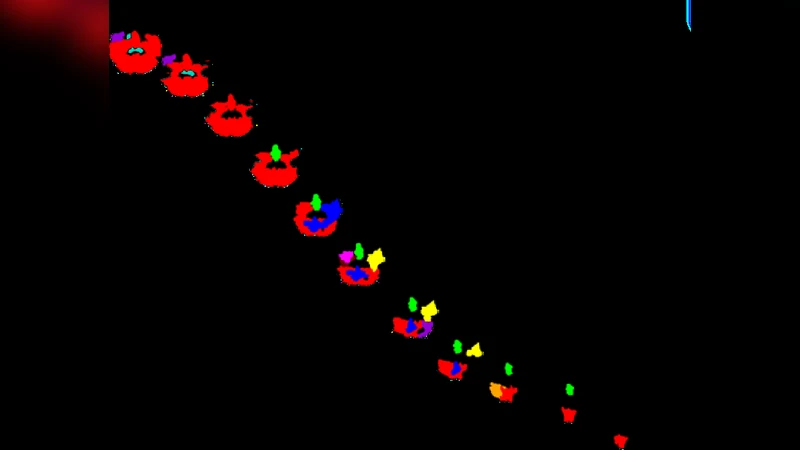 뇌 기능 네트워크의 약한 연결이 만든 최적의 전역 통합