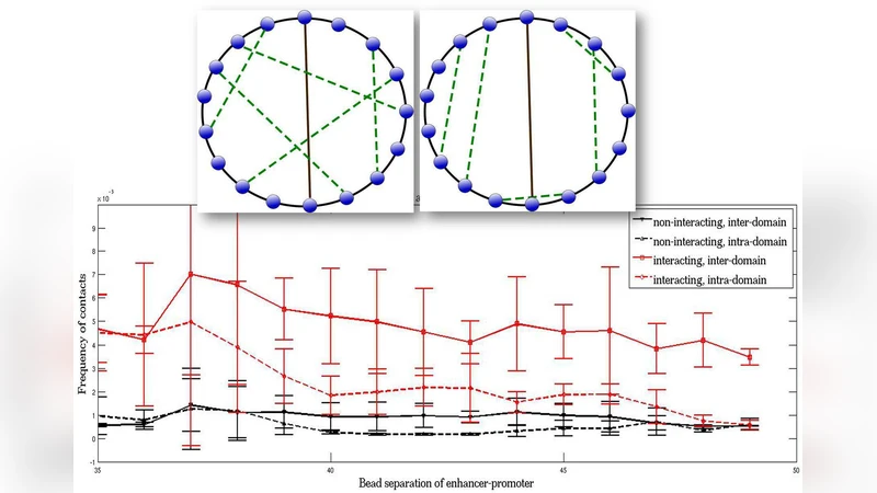 크로마틴 루프와 인핸서·인슐레이터 장거리 조절 메커니즘