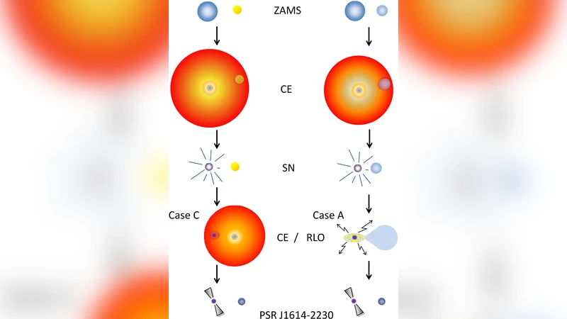 2태양질량 밀리초 펄서와 CO백색왜성 동반자 형성 연구