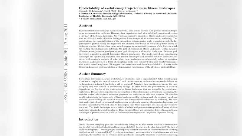 진화 경로 예측 가능성: 단백질 적합도 지형의 부드러움과 경로 발산