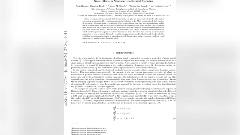 비선형 생화학 신호전달에서 잡음의 영향