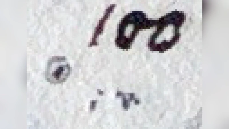 사무엘 슈와베의 태양흑점 기록: 1825‑1867년 전면 디지털 보존과 활용 가능성